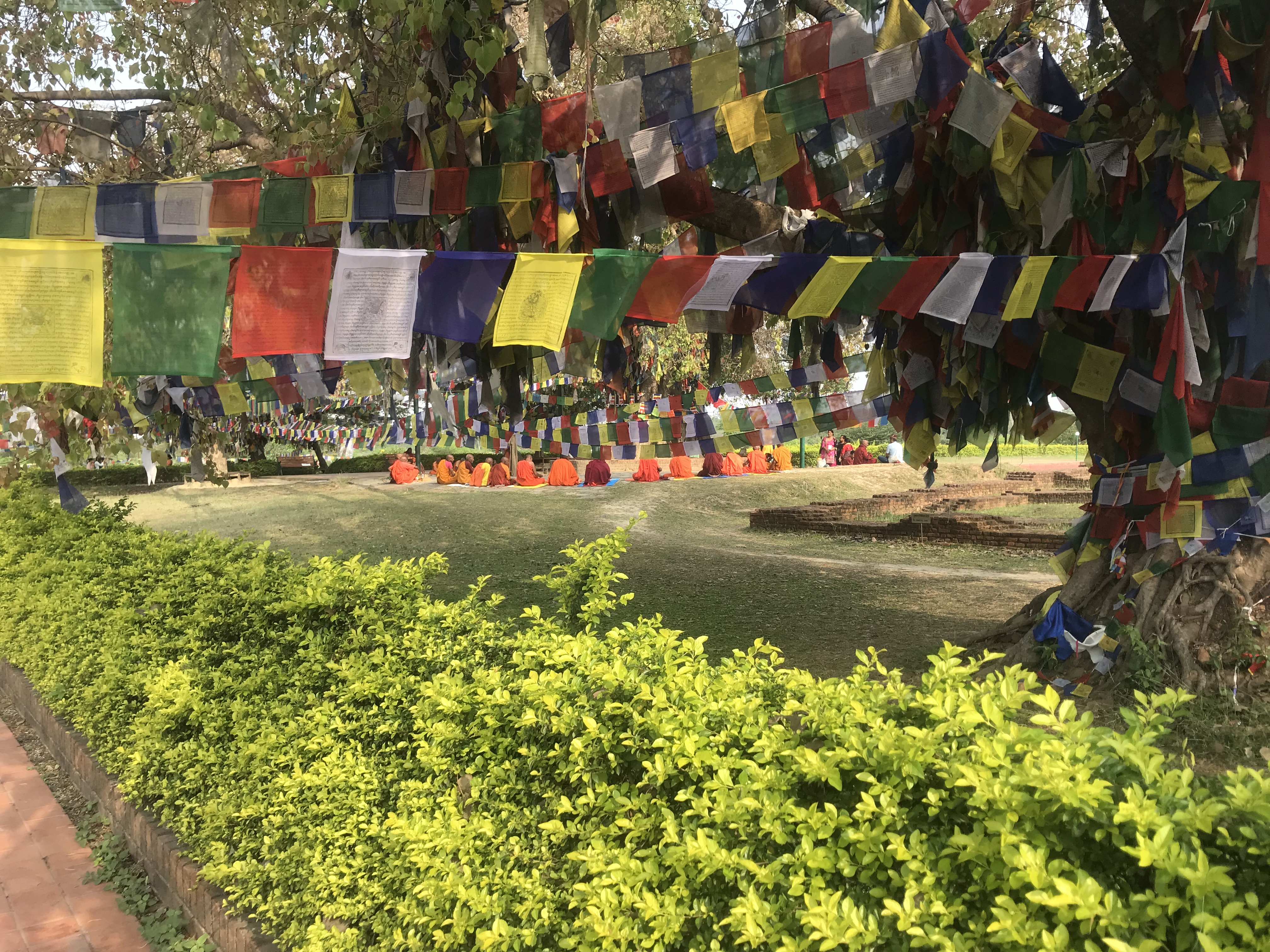 The Birth Place of the Buddha – Ben Around the World Diary – Day 102 – 8 April 2019