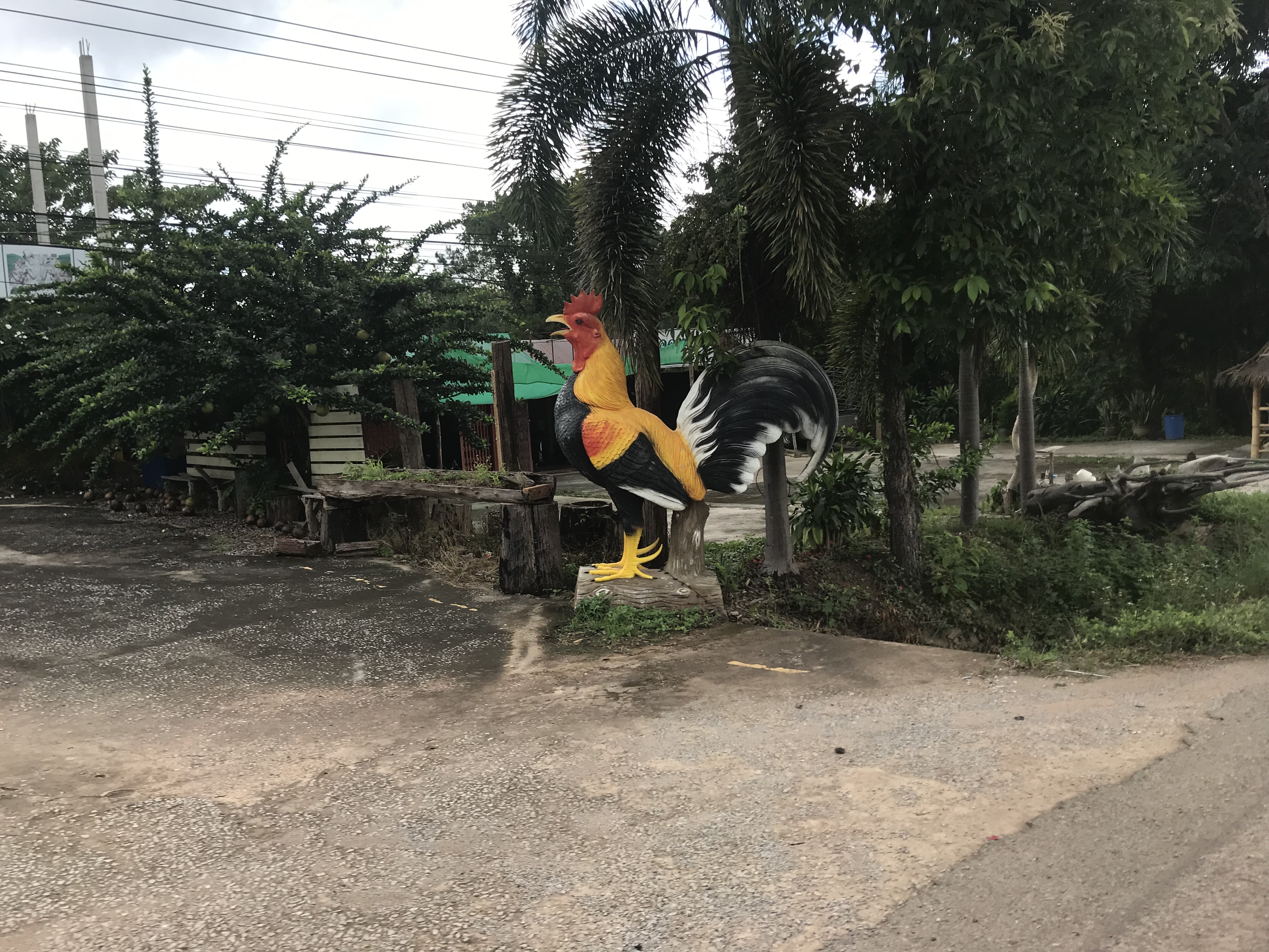 Thailand Rules – Ben Around the World Diary – Day 131 – 17 June 2019