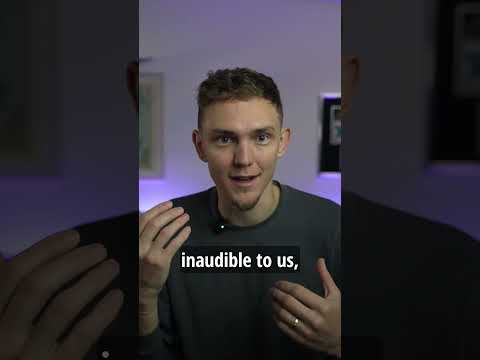 5/5 Startups Challange – Let me tell you about PoisonPill